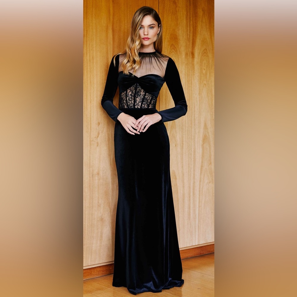 Tadashi Shoji MARCELLA LONG-SLEEVE VELVET GOWN, BNWT!